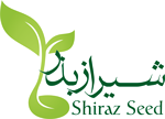 شیراز بذر